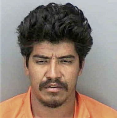 Jose Luna, - Collier County, FL 