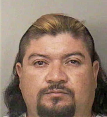 Reinaldo Martinez, - Polk County, FL 