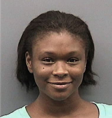 Minnie McDonald - Hillsborough County, FL 