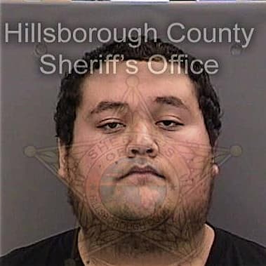 James Miller - Hillsborough County, FL 