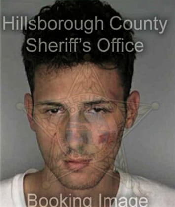 Wilfredo Reyes, - Hillsborough County, FL 