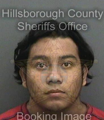 William Shearl, - Hillsborough County, FL 