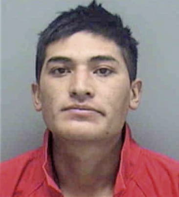 Mario Garcia, - Lee County, FL 