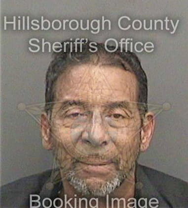 David Hamilton, - Hillsborough County, FL 