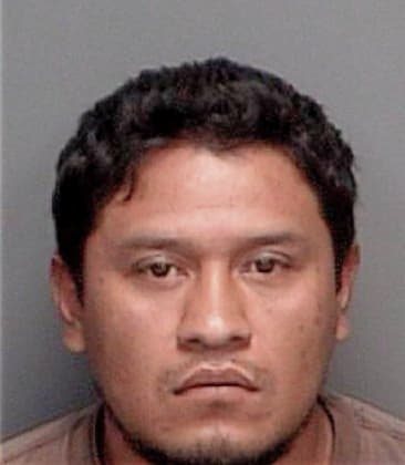 Silviano Hernandez, - Pinellas County, FL 