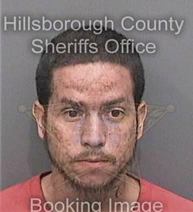 Timothy McCoy - Hillsborough County, FL 