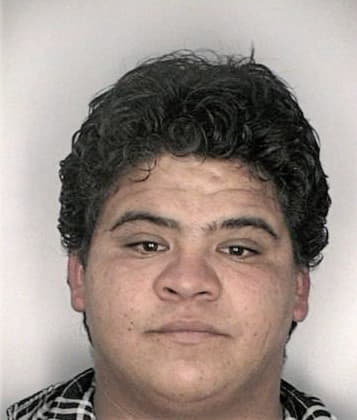 Daniel Perezcruz, - Hillsborough County, FL 