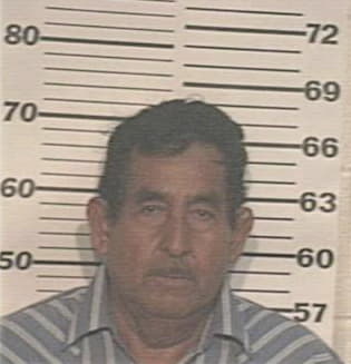 Mario Salazar, - Hidalgo County, TX 