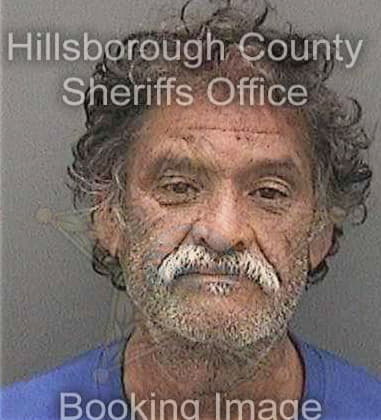 Anthony Skaggs, - Hillsborough County, FL 