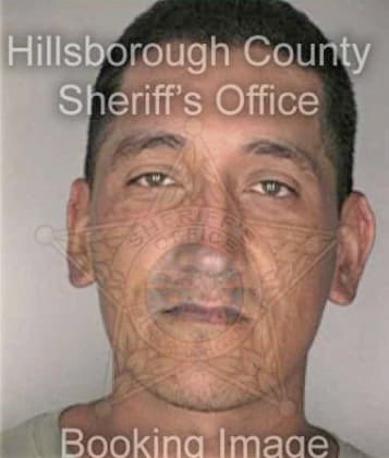 Tibor Toszegi, - Hillsborough County, FL 