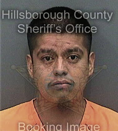 Brian White - Hillsborough County, FL 