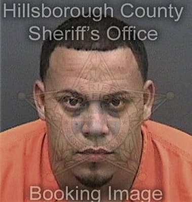 Osvaldo Banda, - Hillsborough County, FL 