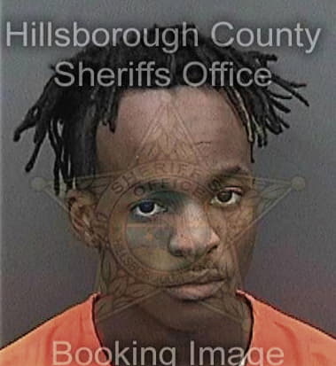 Rejerio Burton, - Hillsborough County, FL 