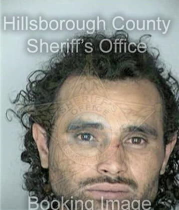 Misael Camarenocamareno, - Hillsborough County, FL 