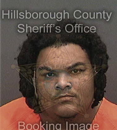 Ian Fraser, - Hillsborough County, FL 