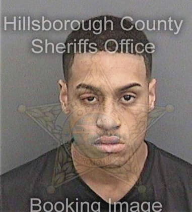 Aldo Hernandezsantos - Hillsborough County, FL 