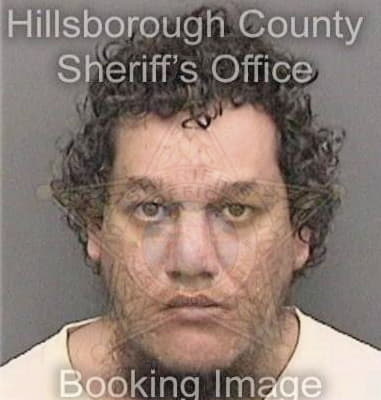 Israel Medina - Hillsborough County, FL 