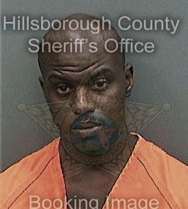 Michael Mullins, - Hillsborough County, FL 