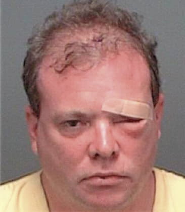 Brian Snyder - Pinellas County, FL 