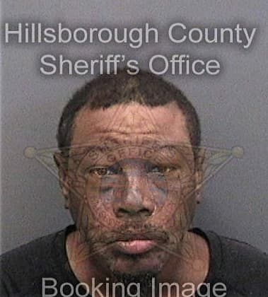 Deterrio Young, - Hillsborough County, FL 