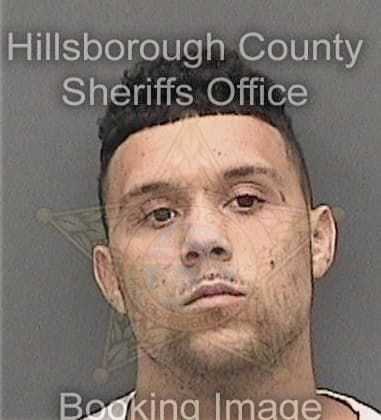 Jonathan Alicea, - Hillsborough County, FL 