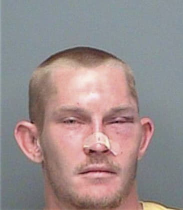 Joshua Debruyn, - Pinellas County, FL 