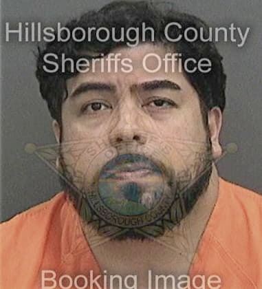 Anthony Hamlin, - Hillsborough County, FL 