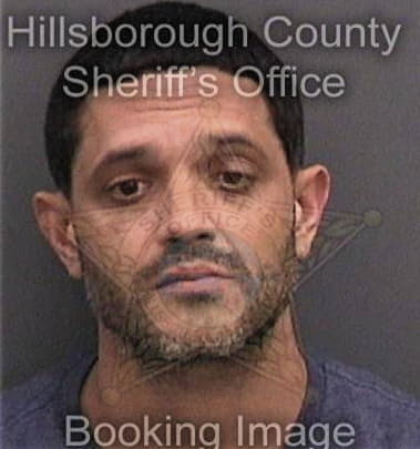 Jose Hortahernandez, - Hillsborough County, FL 