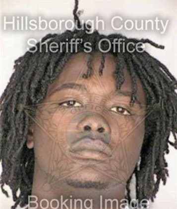 Kareem Lewis, - Hillsborough County, FL 