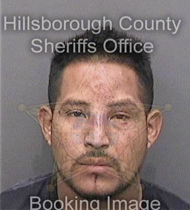 Anthony Pike, - Hillsborough County, FL 