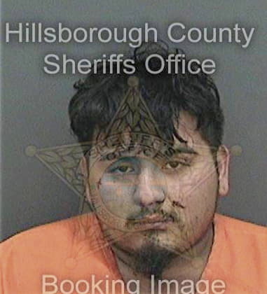 Fanuel Polanco, - Hillsborough County, FL 