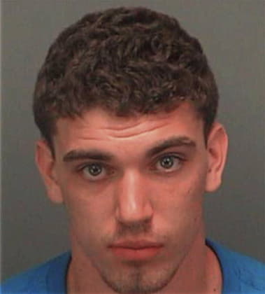 Michael Reese, - Pinellas County, FL 