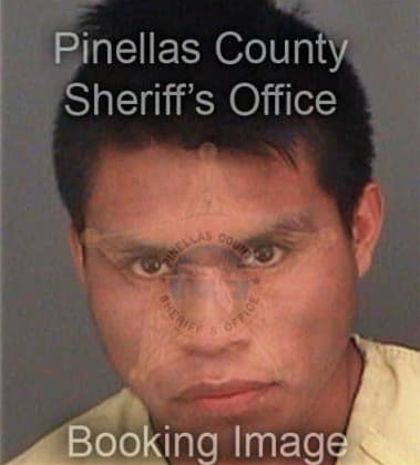 Juan Rozos, - Pinellas County, FL 