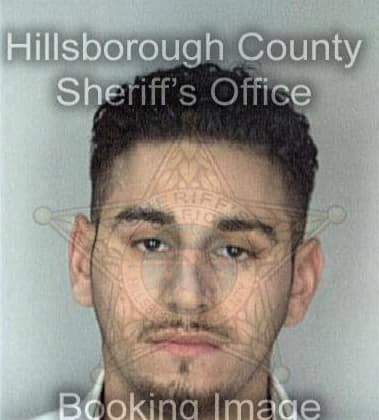 Michael Smith, - Hillsborough County, FL 