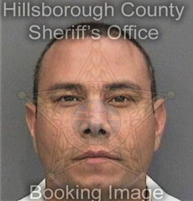 Nicholas Thompson, - Hillsborough County, FL 