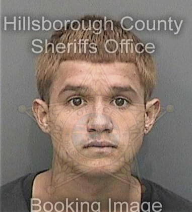 Arthur Debose, - Hillsborough County, FL 