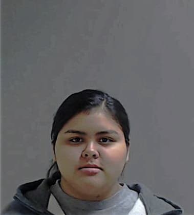 Michelle Estrada, - Hidalgo County, TX 