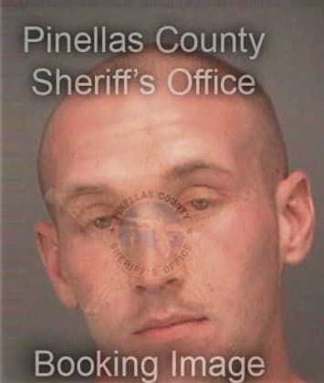 Nicholas Gibson, - Pinellas County, FL 