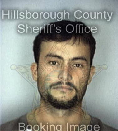 Carlos Insignares, - Hillsborough County, FL 