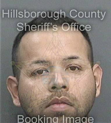 Matthew Pierson, - Hillsborough County, FL 