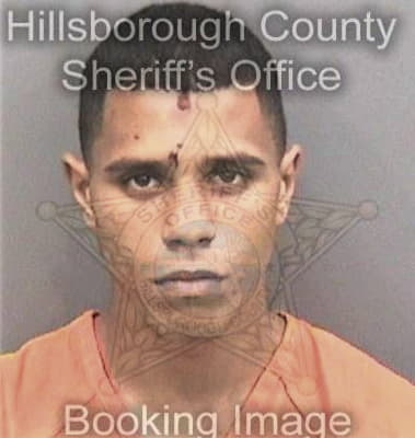 Albert Salgado, - Hillsborough County, FL 