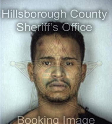 Deral Wilkes - Hillsborough County, FL 