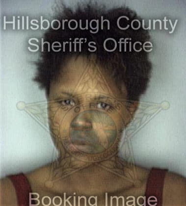 Bridgett Williams - Hillsborough County, FL 