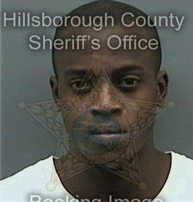 Glenville Willis, - Hillsborough County, FL 