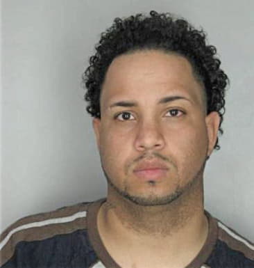 Andrew Biengardo - Hillsborough County, FL 