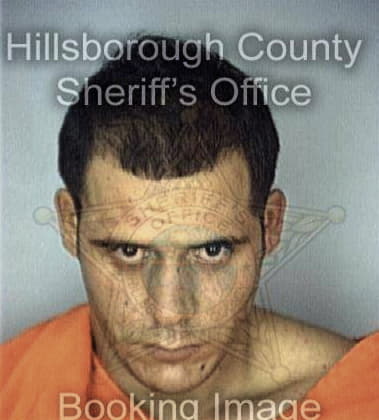 Dennis Bowman - Hillsborough County, FL 