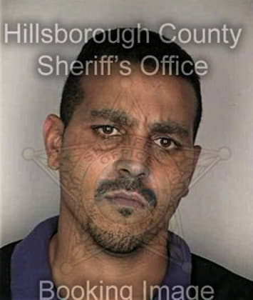 Michael Hess - Hillsborough County, FL 