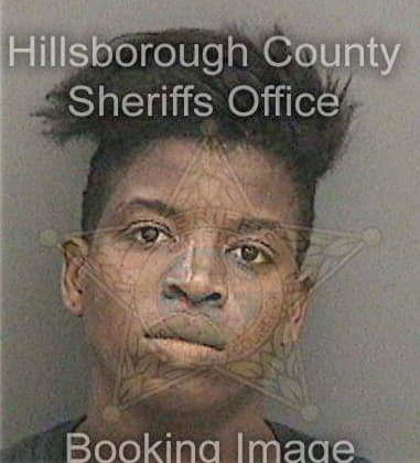 Lameka Lewis, - Hillsborough County, FL 