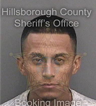 Ross Newton, - Hillsborough County, FL 