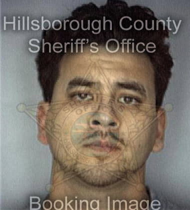 Mohammad Saiepour, - Hillsborough County, FL 